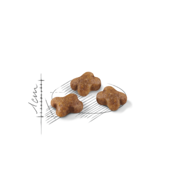 PIENOS ROYAL CANIN KITTEN 2 KG - foto 7