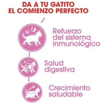 PIENOS ROYAL CANIN KITTEN 2 KG - foto 3