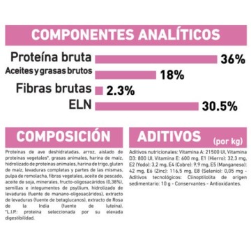 PIENOS ROYAL CANIN KITTEN 2 KG - foto 4
