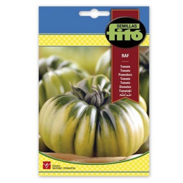 Tomate Raf Fito 3GR