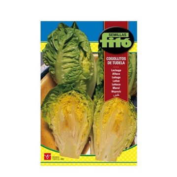 LECHUGA SUCRINE (COGOLLO...