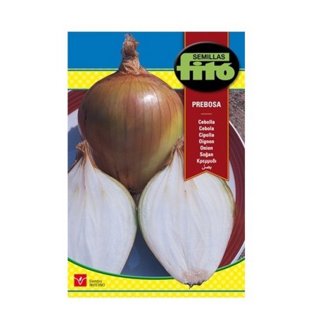 Cebolla Babosa