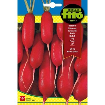 RABANITO DÁTIL ROJO-GAVÁ