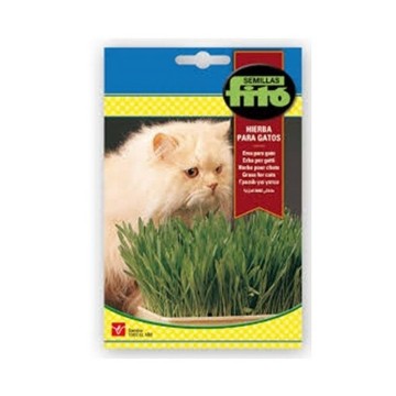 HIERBA PARA GATOS