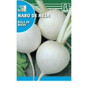 NABO DE MESA