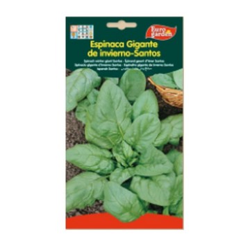 ESPINACA GIGANTE DE...