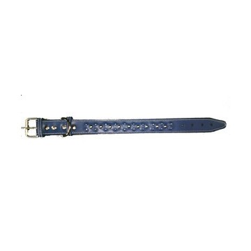 COLLAR PITBUL  55CM - foto 1