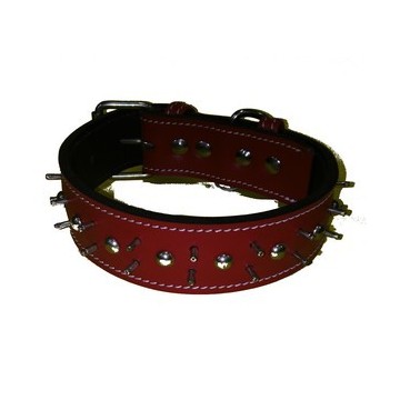 COLLAR PITBUL  55CM