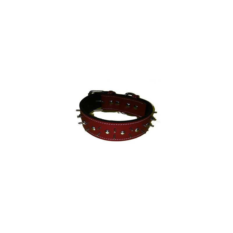 COLLAR PITBUL  55CM