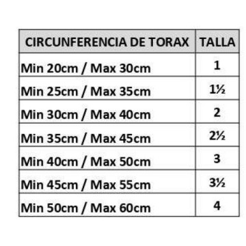  - foto 3