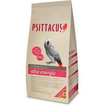 PSITTACUS PIENSO...