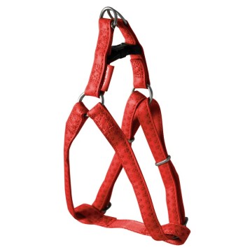 ARNES MACLEATHER 20mm x...