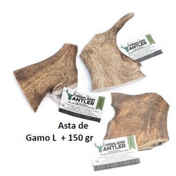 ASTAS GAMO LARGO