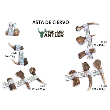 ASTA DE CIERVO