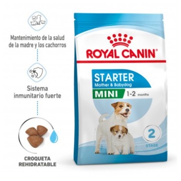 ROYAL CANIN MINI STARTER 1KG