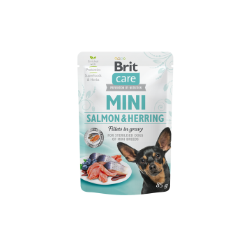 MINI FILETES DE SALMÓN Y...
