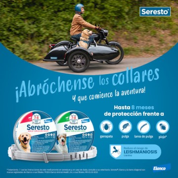  - foto 5