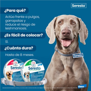  - foto 7