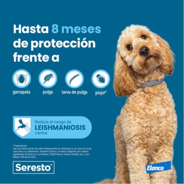  - foto 8