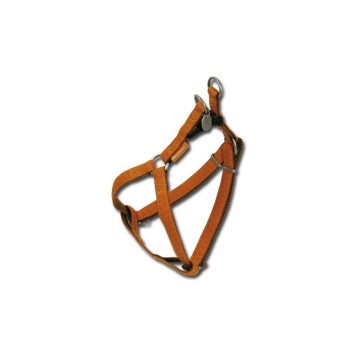 Arnes MacLEATHER  - foto 1
