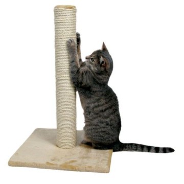 POSTE RASCADOR PARA GATOS 38X38X59 - foto 2