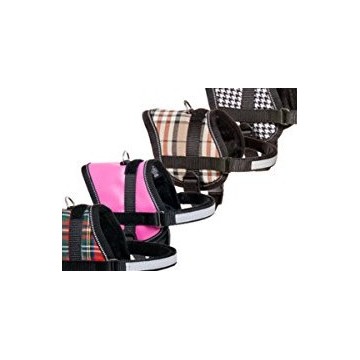 ARNES ROSA 26-35CM - foto 5