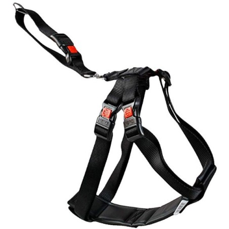 ARNES PARA COCHE XS 25-40 cm -25mm