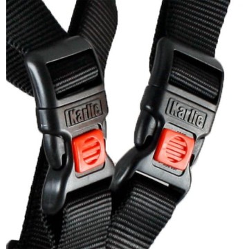 ARNES DE SEGURIDAD PARA COCHE T. L - foto 2