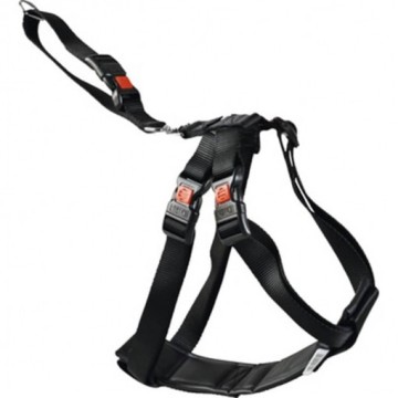 ARNES DE SEGURIDAD PARA COCHE T. L